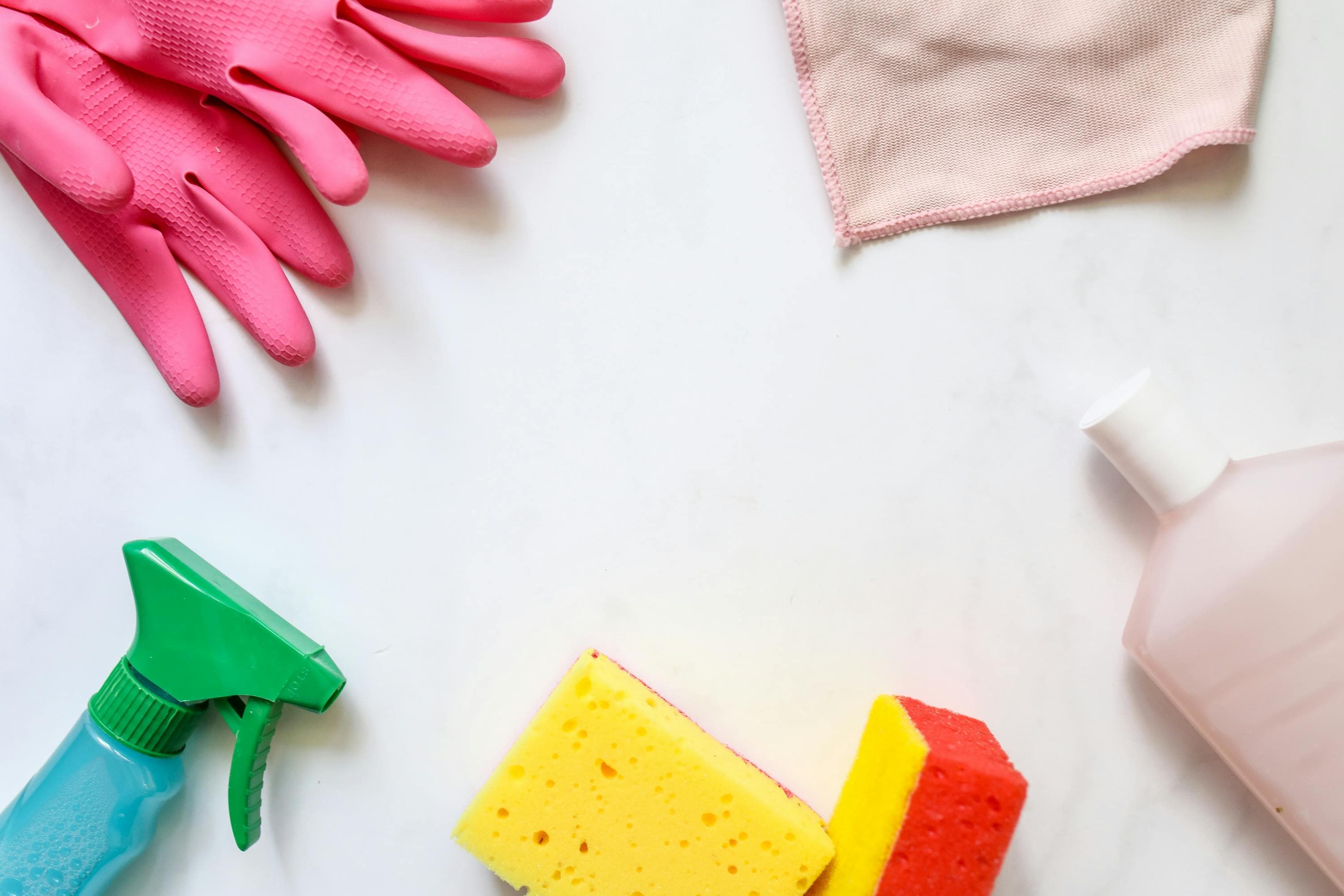 Professional home cleaning